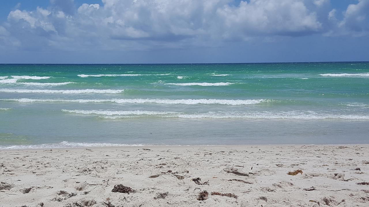 2 Bedroom 2 Bath Beachfront Condo On Miami Beach Millionaire Row Exteriör bild